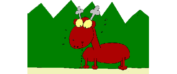 Bild 7